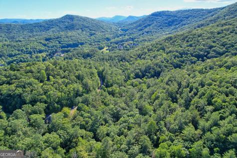 Lot 112 Timber Creek Drive Clayton GA 30525