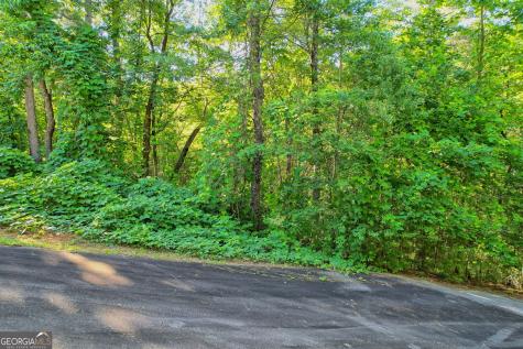 Lot 112 Timber Creek Drive Clayton GA 30525