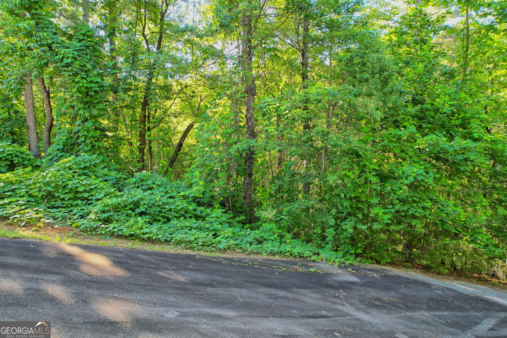 Lot 112 Timber Creek Drive Clayton GA 30525
