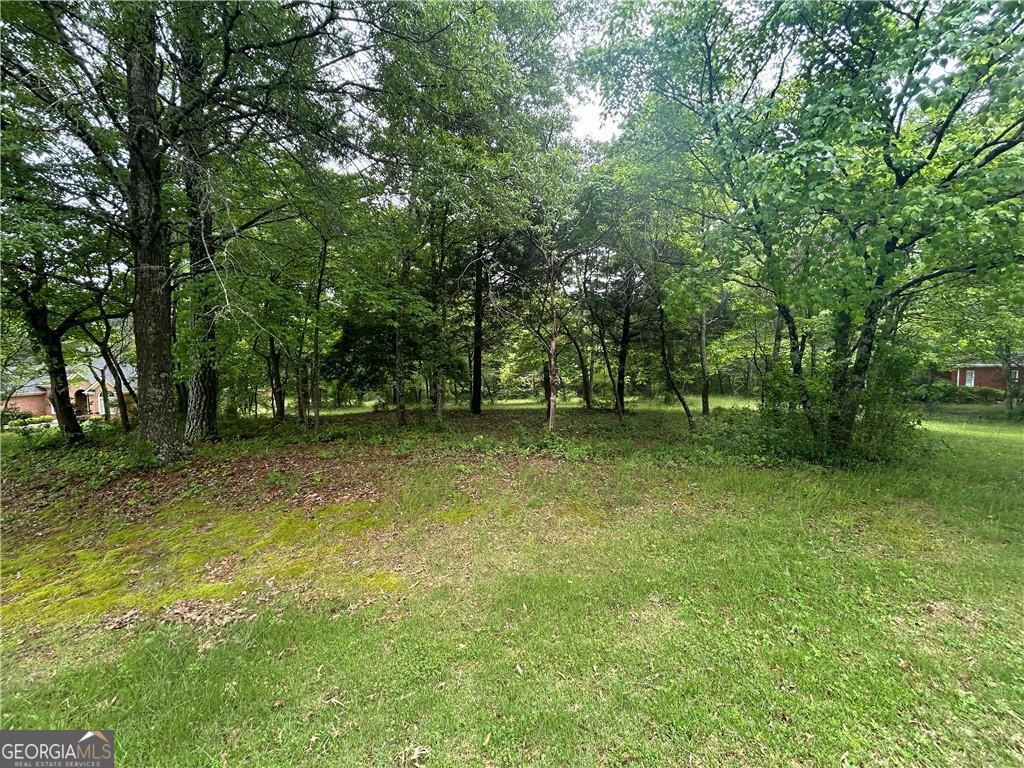 0 Oakcrest Drive Cedartown GA 30125