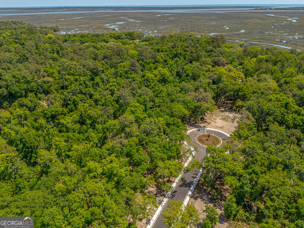 143 Canopy Lane St. Simons Island GA 31522
