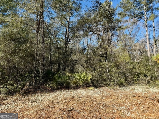 0 Live Oak Lane Road Nevils GA 31321