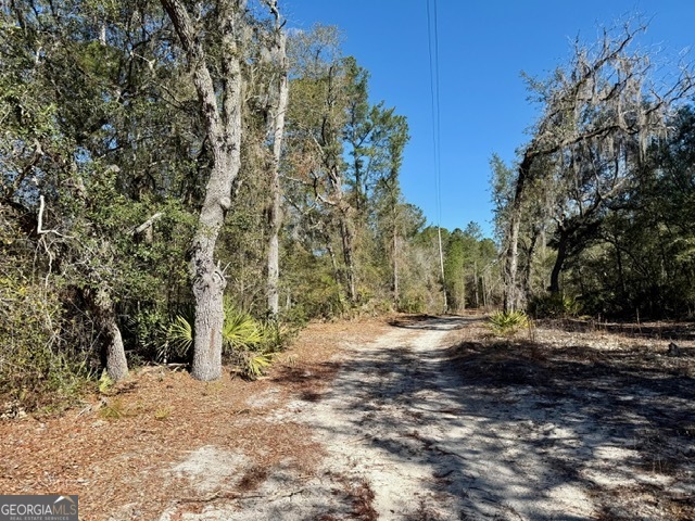 0 Live Oak Lane Road Nevils GA 31321