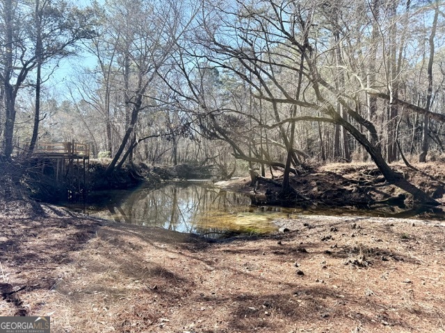 0 Live Oak Lane Road Nevils GA 31321