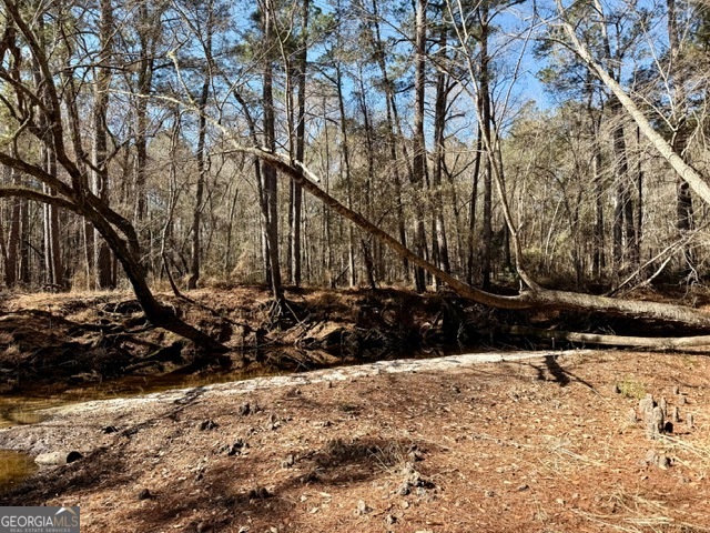 0 Live Oak Lane Road Nevils GA 31321