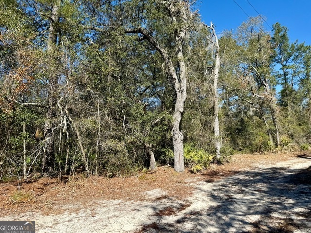 0 Live Oak Lane Road Nevils GA 31321