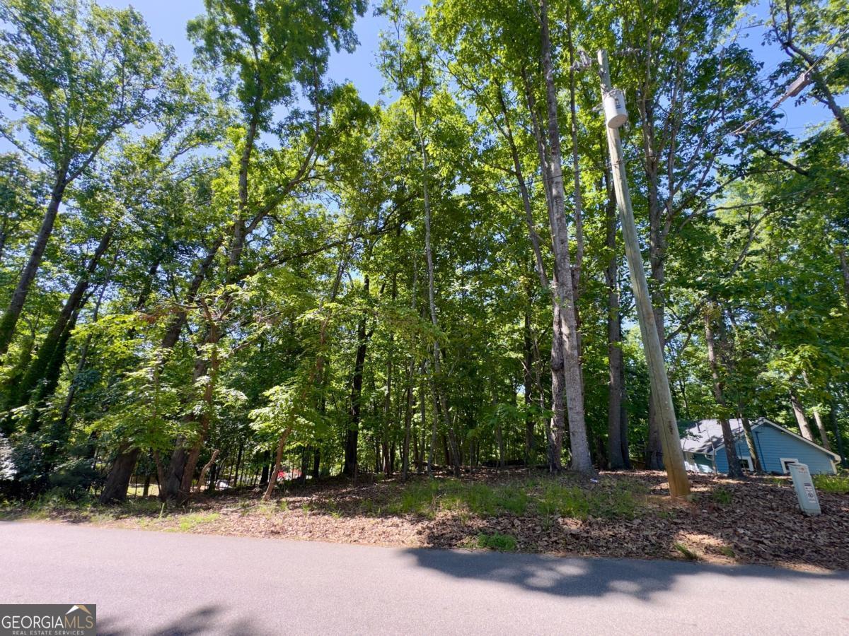 0 Bermuda Lane Flowery Branch GA 30542