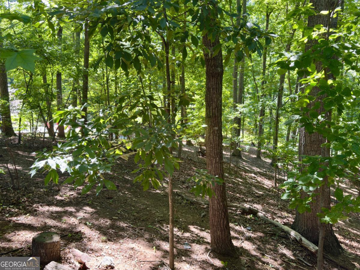 0 Bermuda Lane Flowery Branch GA 30542