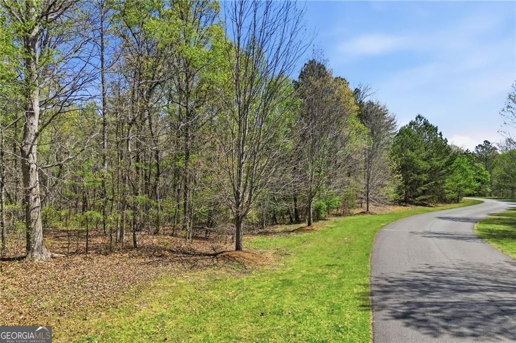 133 Heritage Plantation Drive Ball Ground GA 30107