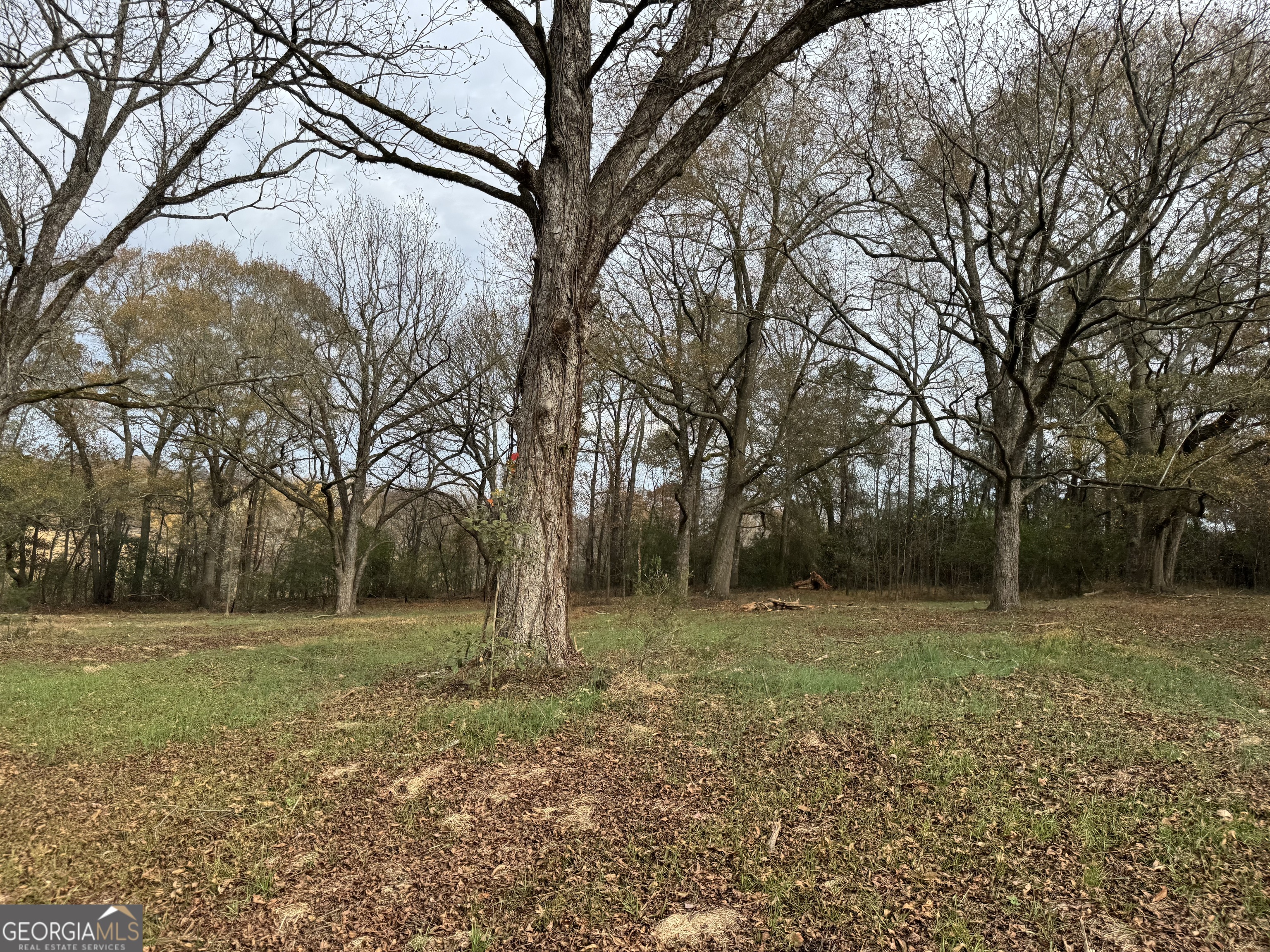 3439 Tract 2 Providence Church Road Hartwell GA 30643