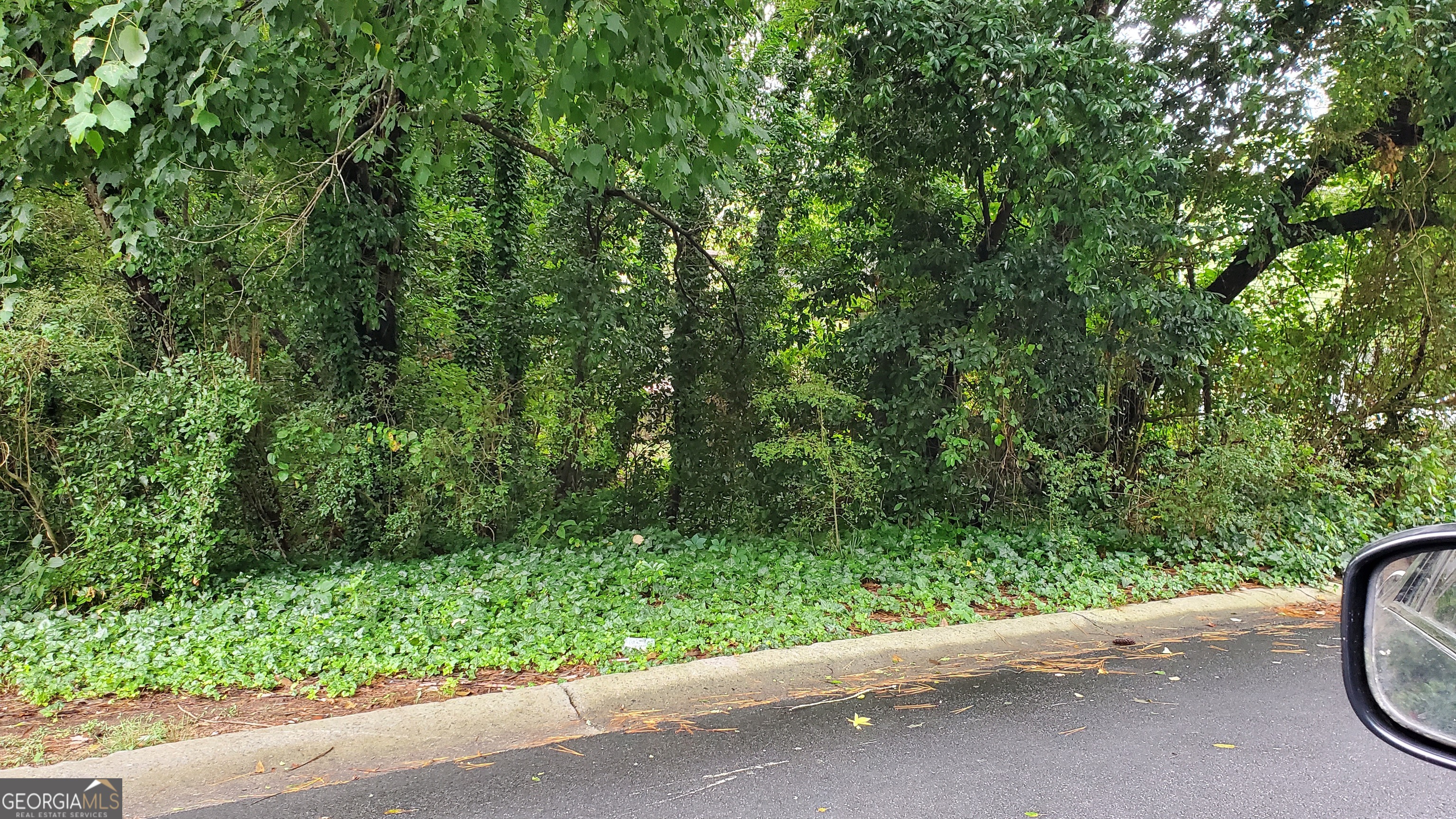 701 Springhollow Lane SW Marietta GA 30008