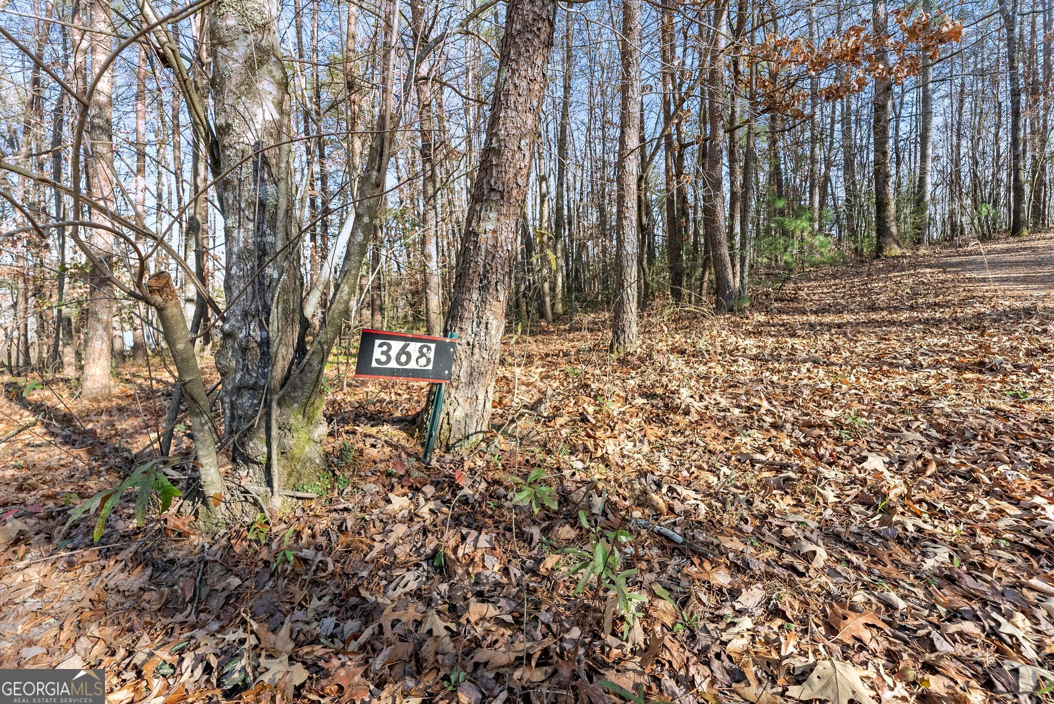 368 Harkins Road Cleveland GA 30528