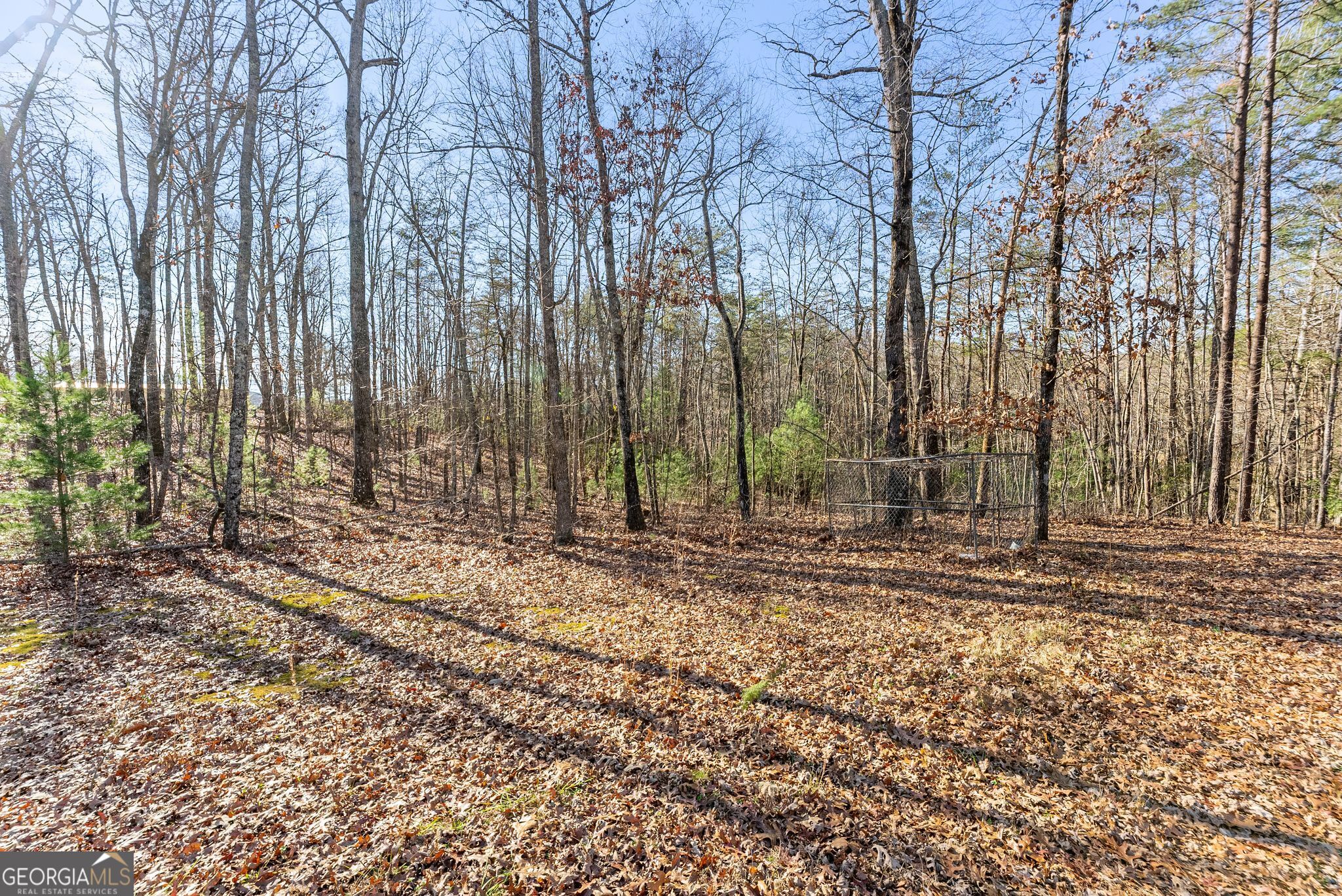 368 Harkins Road Cleveland GA 30528