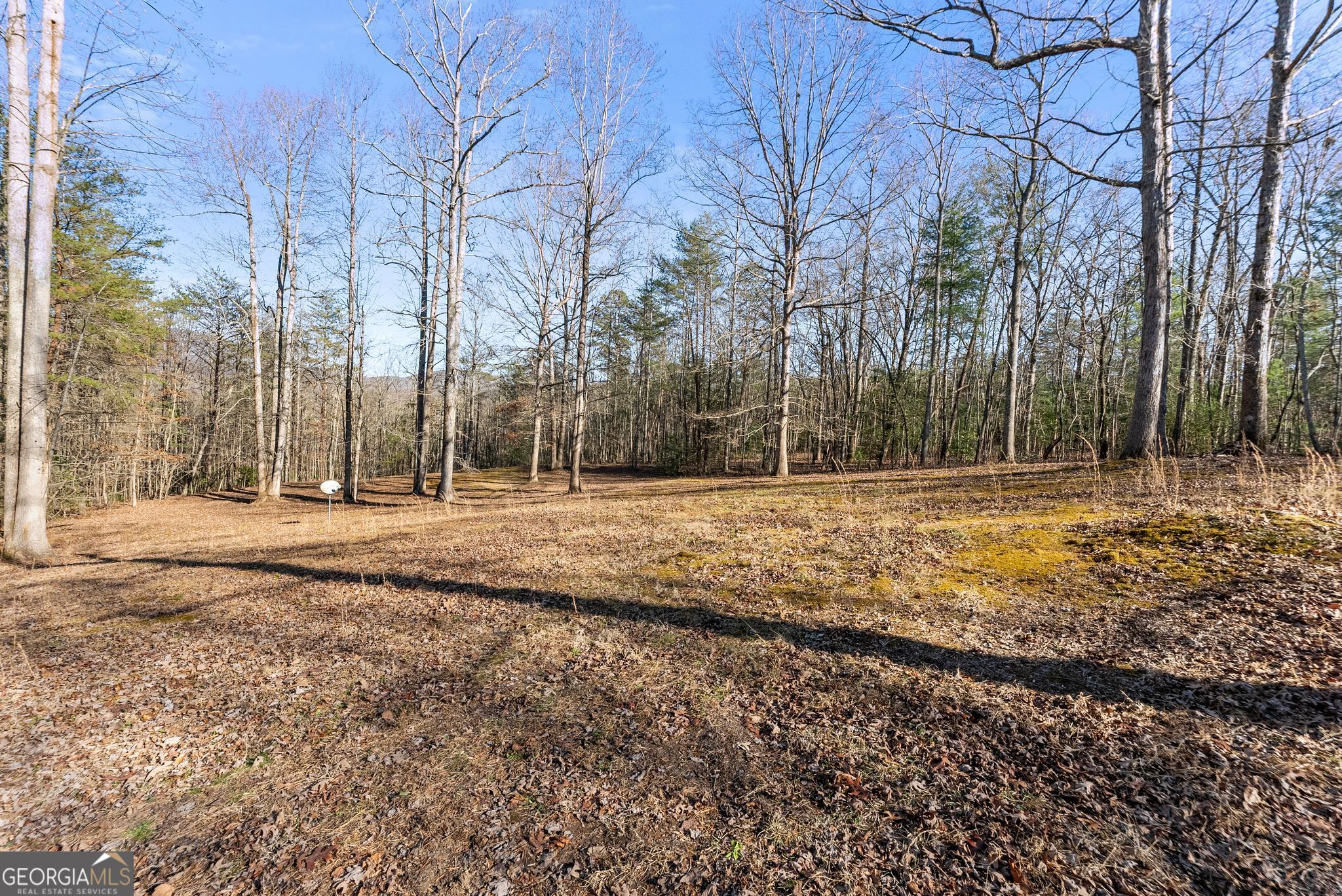368 Harkins Road Cleveland GA 30528