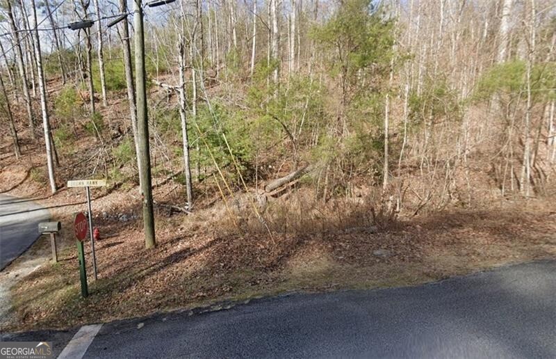 0 Brown Hawk Drive Clayton GA 30525