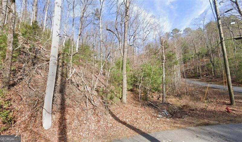 0 Brown Hawk Drive Clayton GA 30525