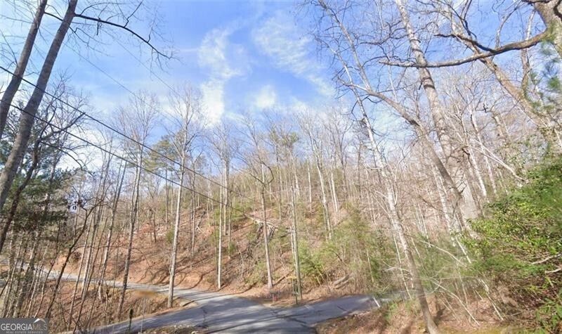 0 Brown Hawk Drive Clayton GA 30525