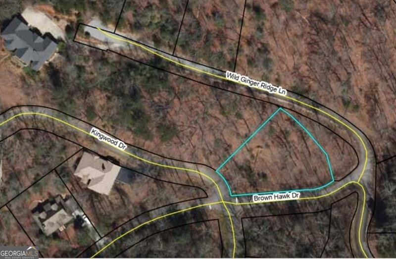 0 Brown Hawk Drive Clayton GA 30525