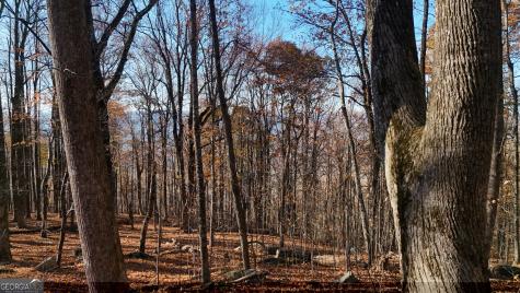 Lot 11 Mountainside Drive Cleveland GA 30528
