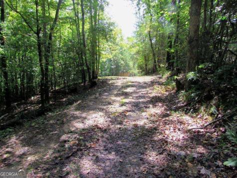 343 Hollybrook Road Dahlonega GA 30533
