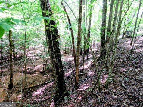 343 Hollybrook Road Dahlonega GA 30533