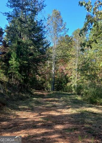 343 Hollybrook Road Dahlonega GA 30533