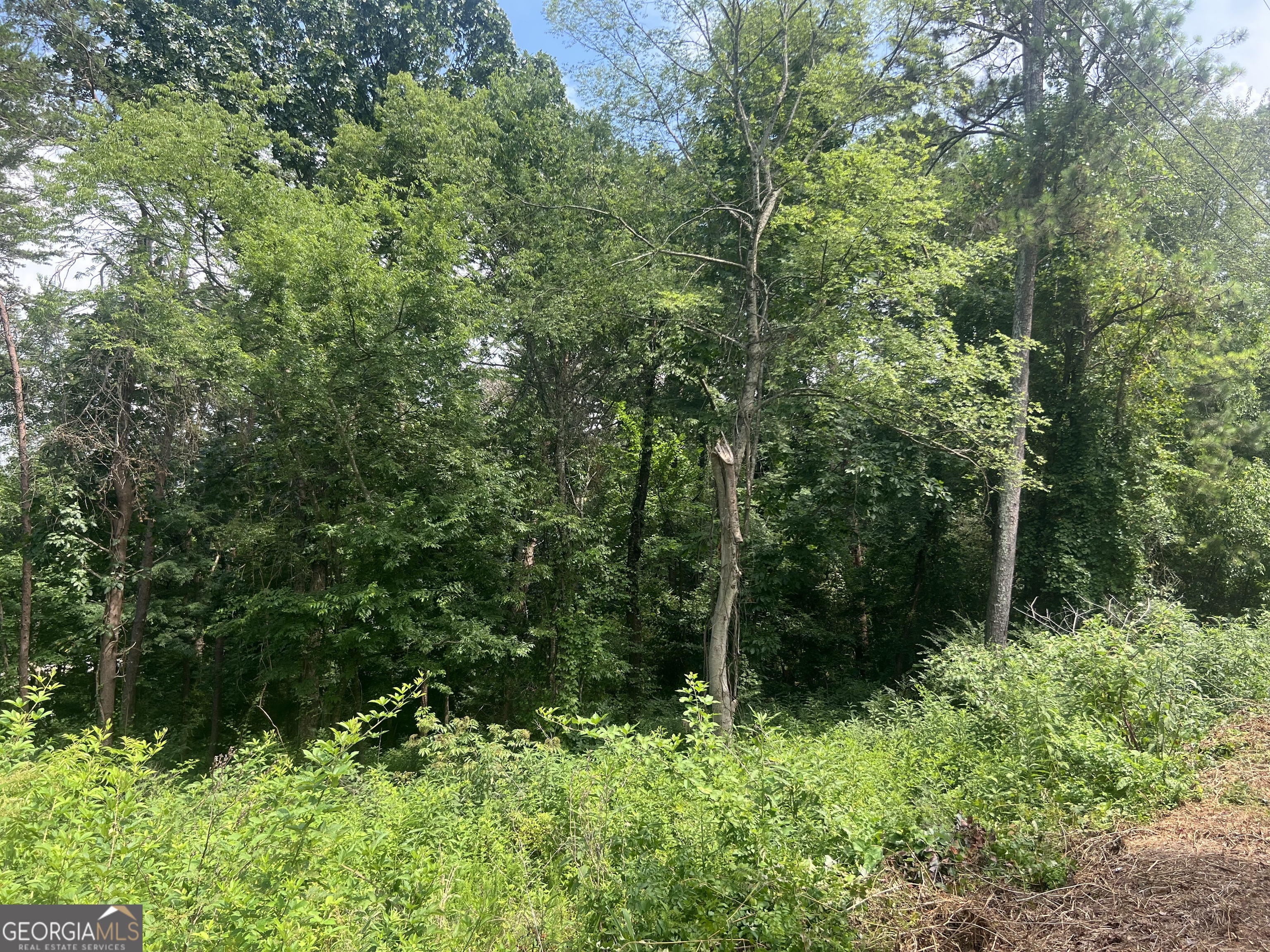 0 College View Drive Rome GA 30161