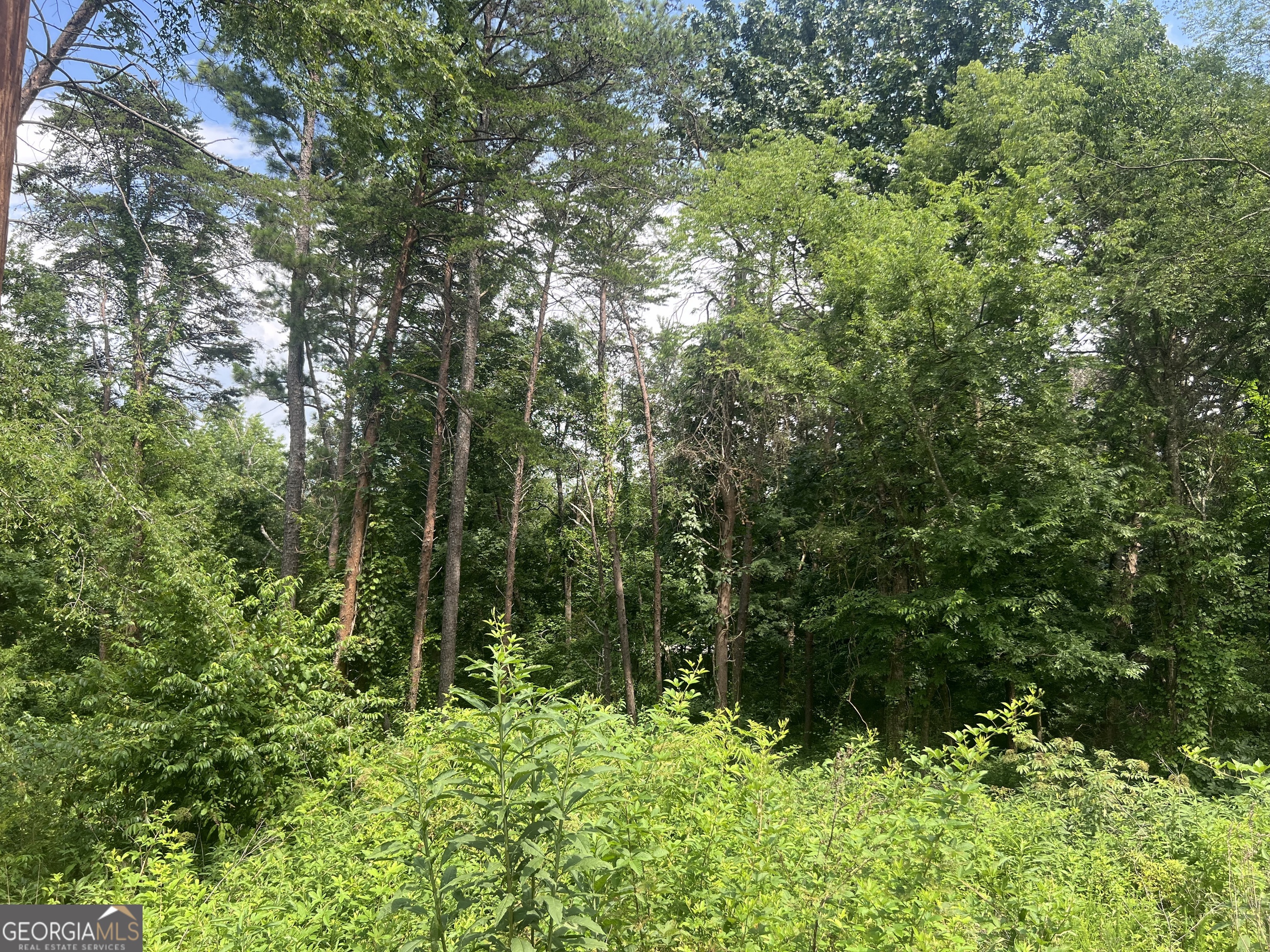0 College View Drive Rome GA 30161