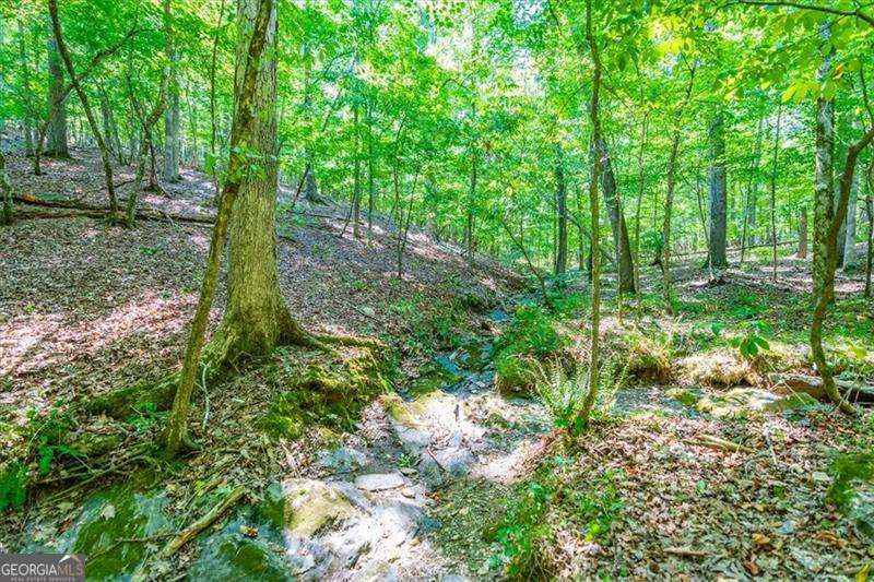 0 Overlook Trail Acworth GA 30101