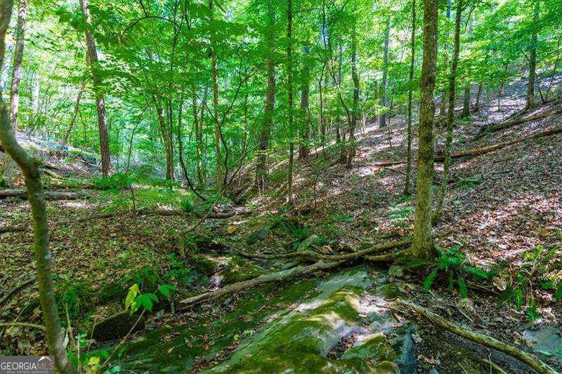 0 Overlook Trail Acworth GA 30101