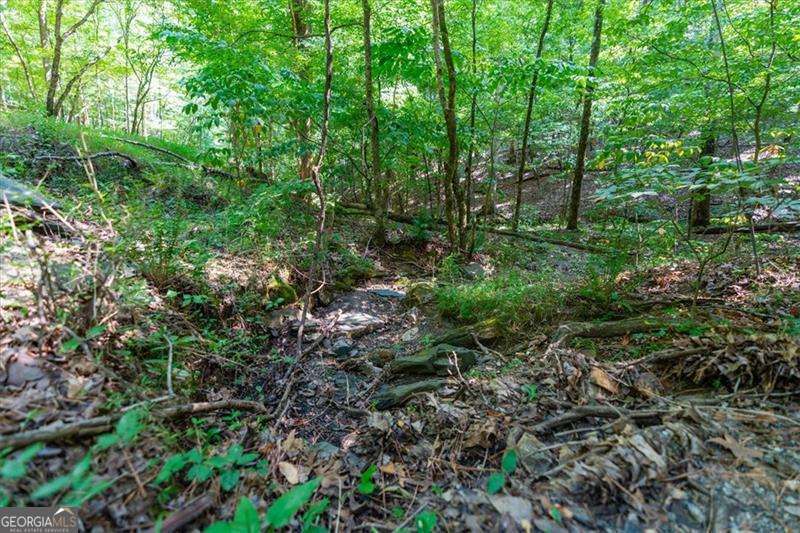 0 Overlook Trail Acworth GA 30101