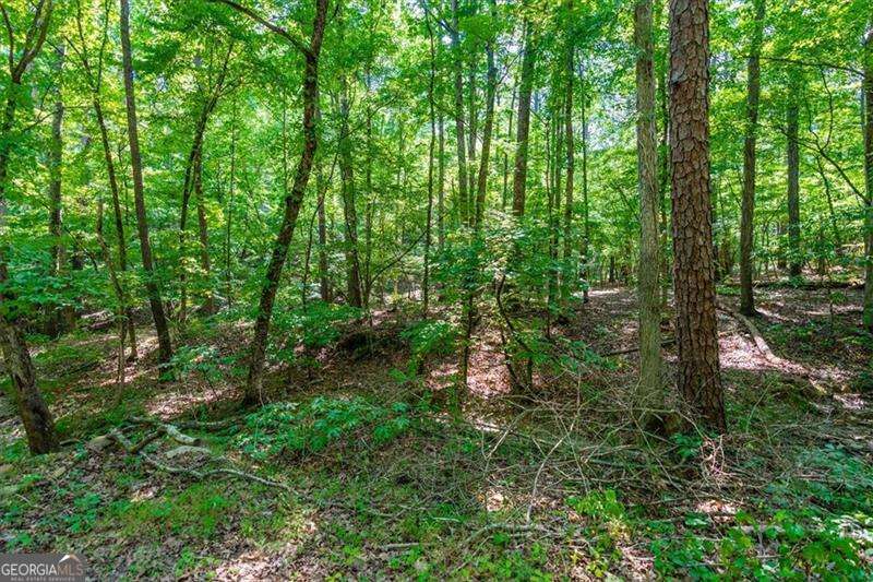 0 Overlook Trail Acworth GA 30101