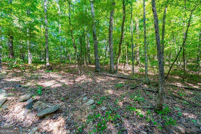 0 Overlook Trail Acworth GA 30101