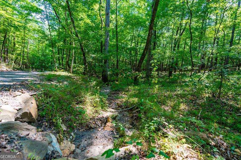 0 Overlook Trail Acworth GA 30101