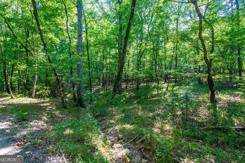 0 Overlook Trail Acworth GA 30101