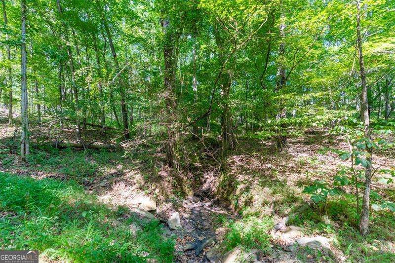 0 Overlook Trail Acworth GA 30101