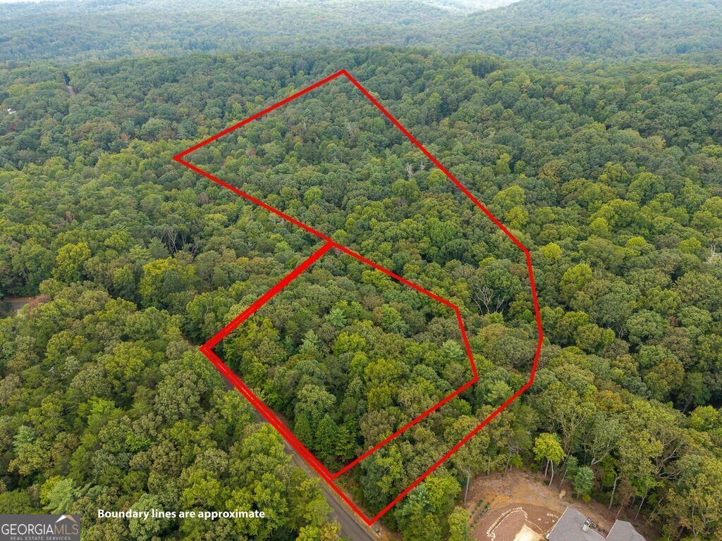 0 Abbott Mill Road Ellijay GA 30540