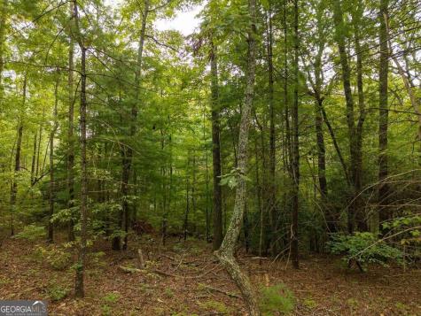 0 Abbott Mill Road Ellijay GA 30540