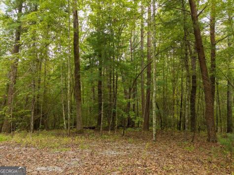 0 Abbott Mill Road Ellijay GA 30540