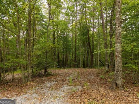 0 Abbott Mill Road Ellijay GA 30540
