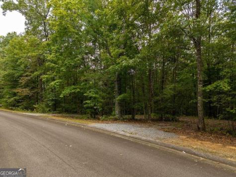 0 Abbott Mill Road Ellijay GA 30540