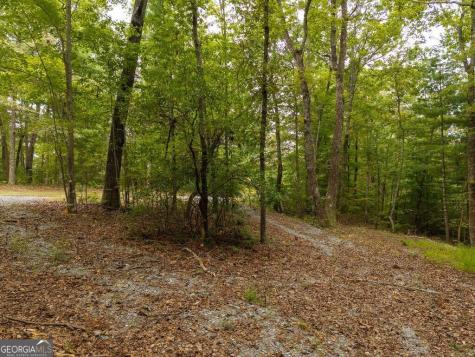 0 Abbott Mill Road Ellijay GA 30540