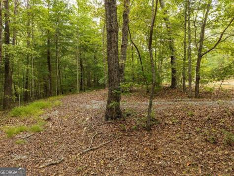 0 Abbott Mill Road Ellijay GA 30540