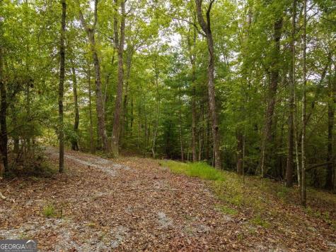 0 Abbott Mill Road Ellijay GA 30540