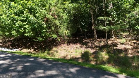 Lot 229 Stone Cliff Trace Cleveland GA 30528