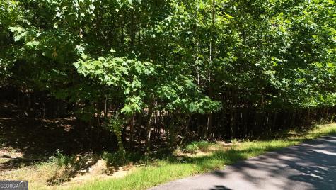 Lot 229 Stone Cliff Trace Cleveland GA 30528
