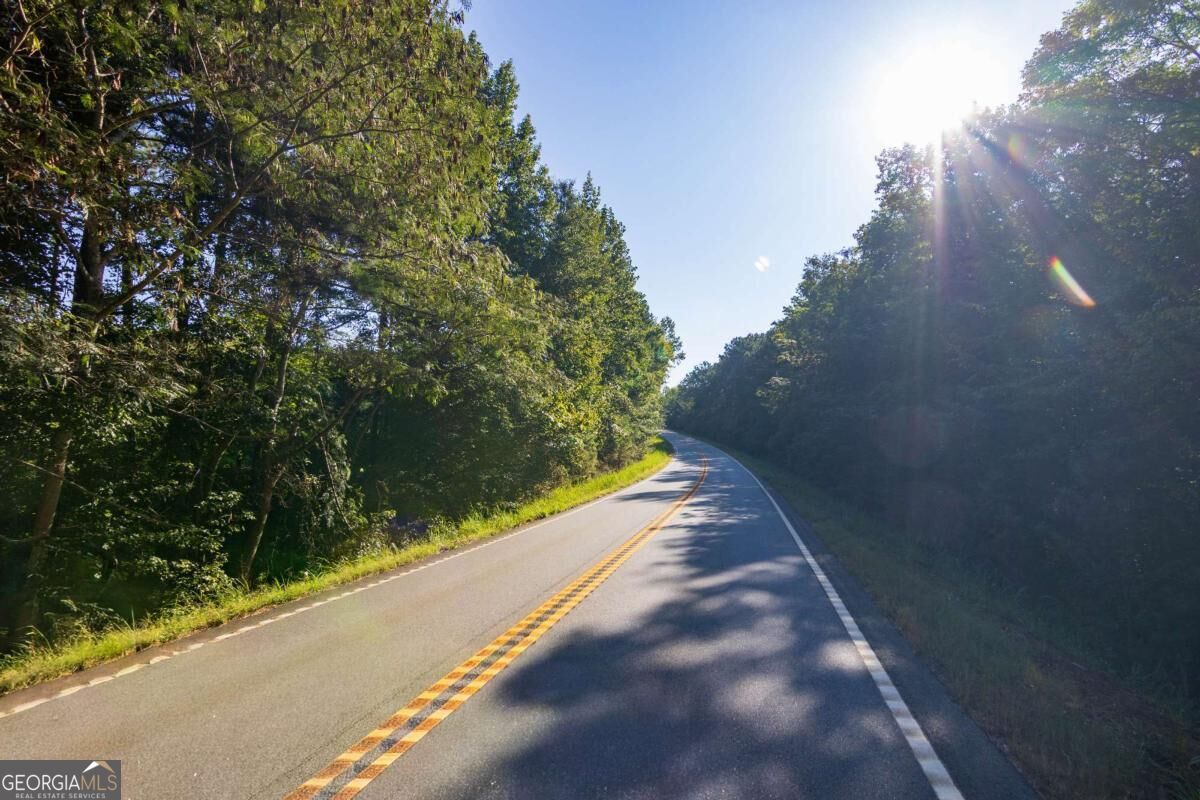 Tract 2 Highway 0036 Woodland GA 31836