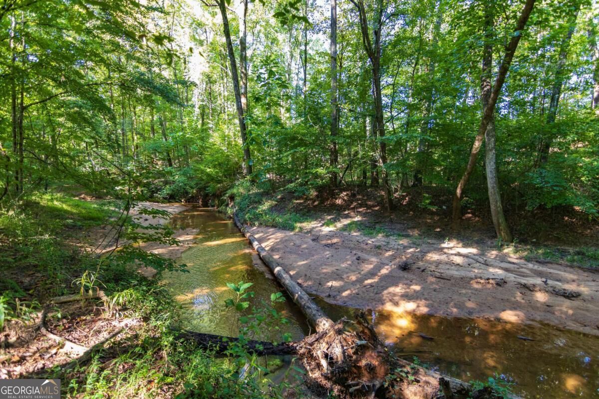 Tract 2 Highway 0036 Woodland GA 31836