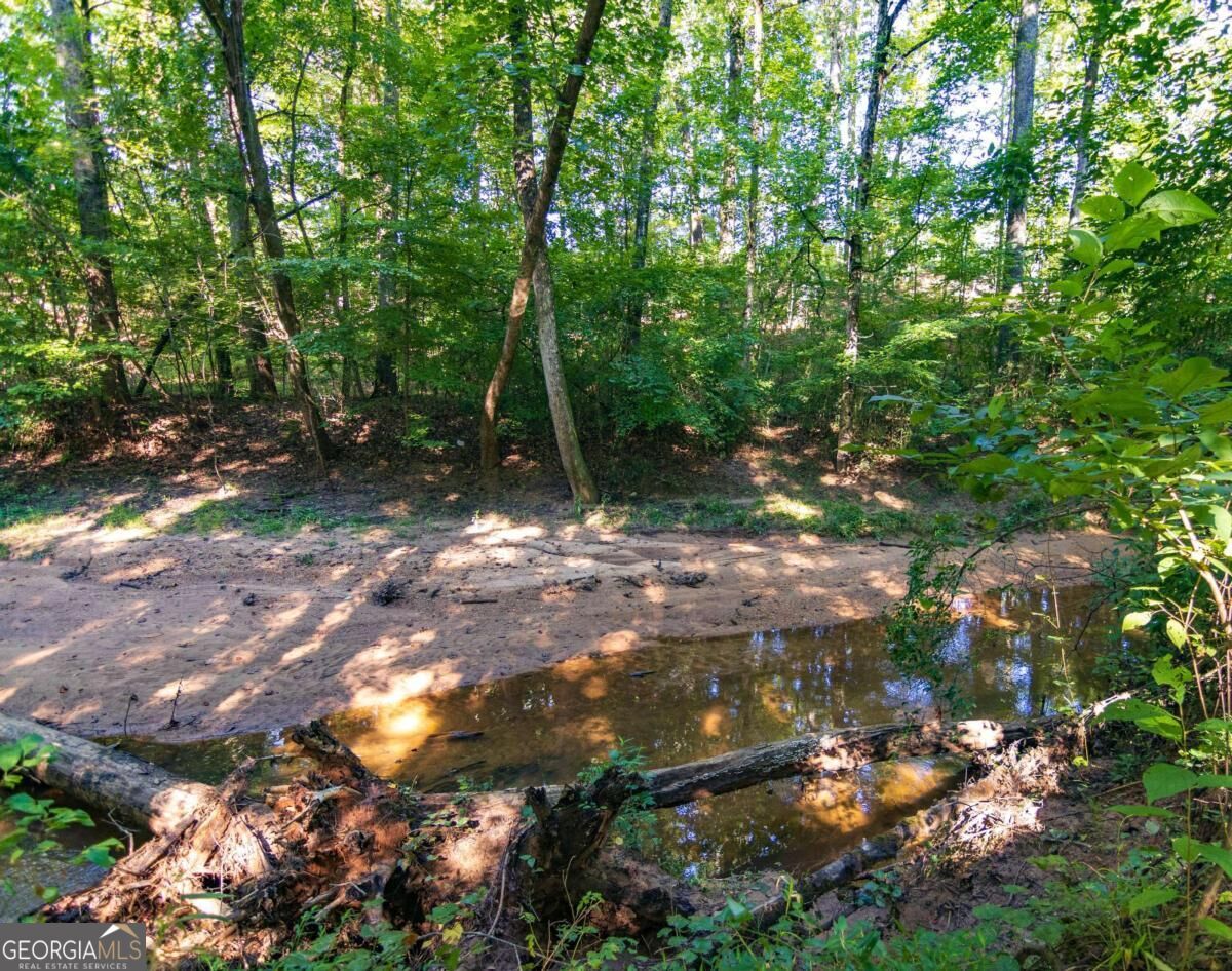 Tract 2 Highway 0036 Woodland GA 31836