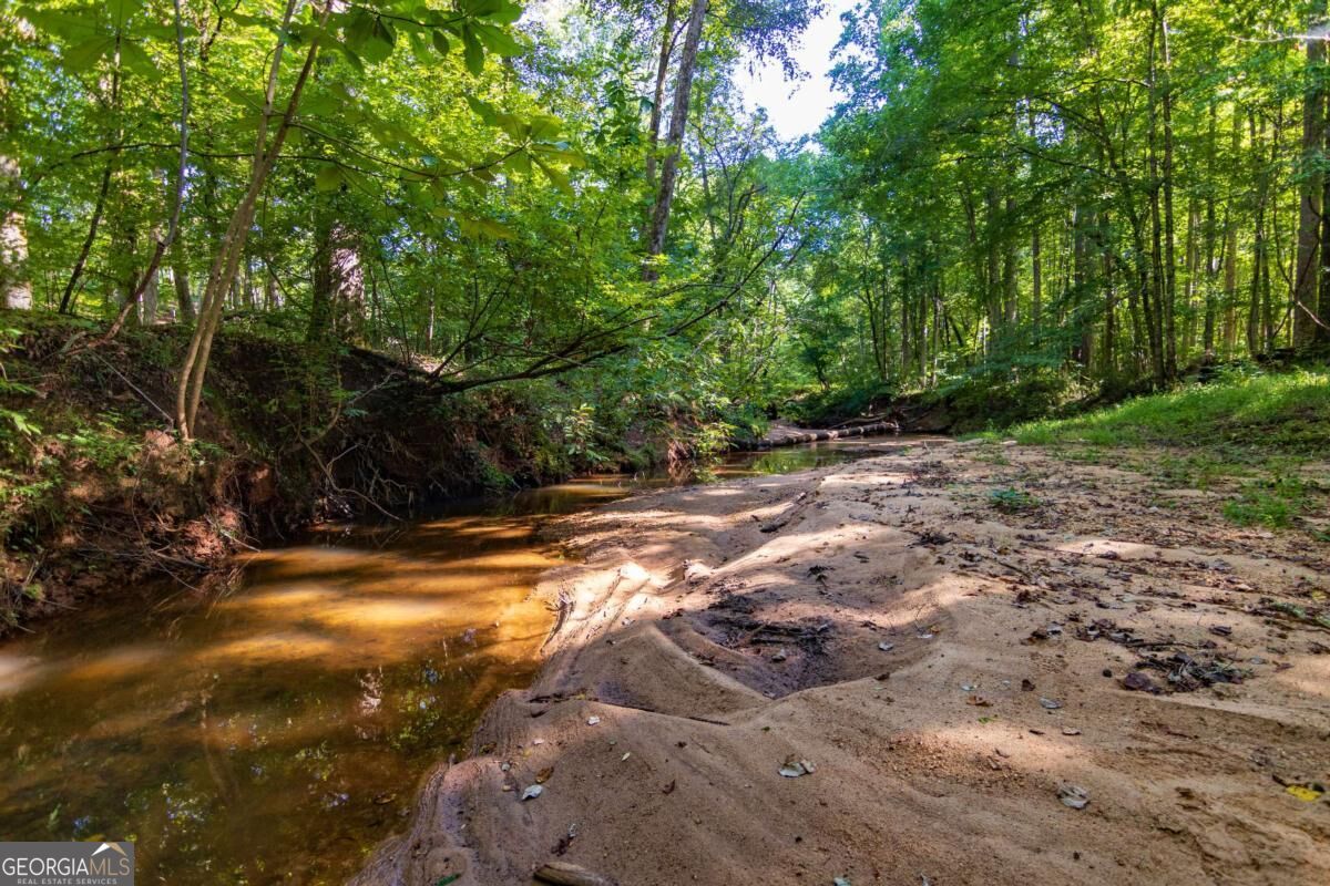 Tract 2 Highway 0036 Woodland GA 31836